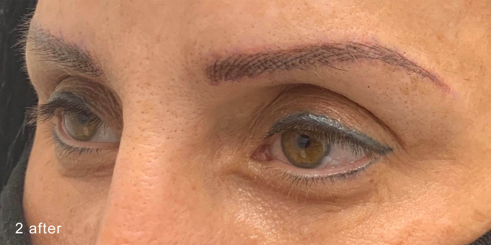 Image of a client's brows after nanobrow work.