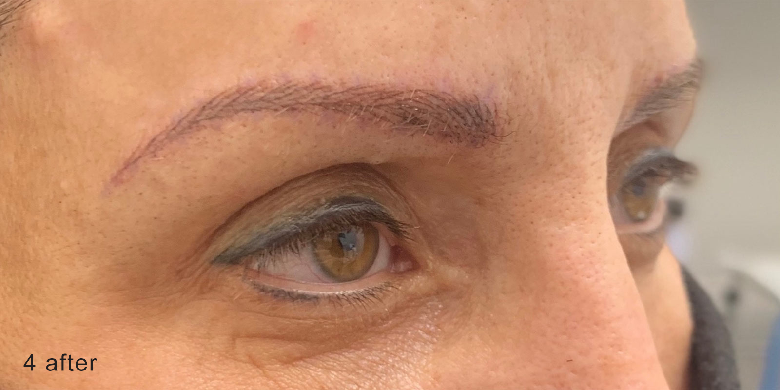 Image of a client's brows after nanobrow work.