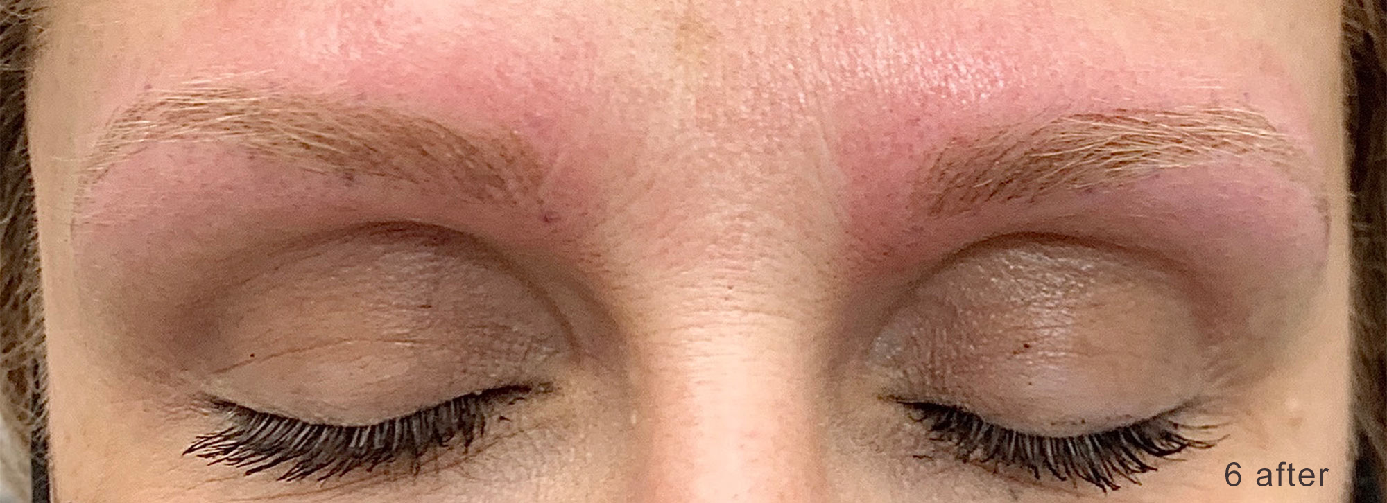 Image of a client's brows after nanobrow work.