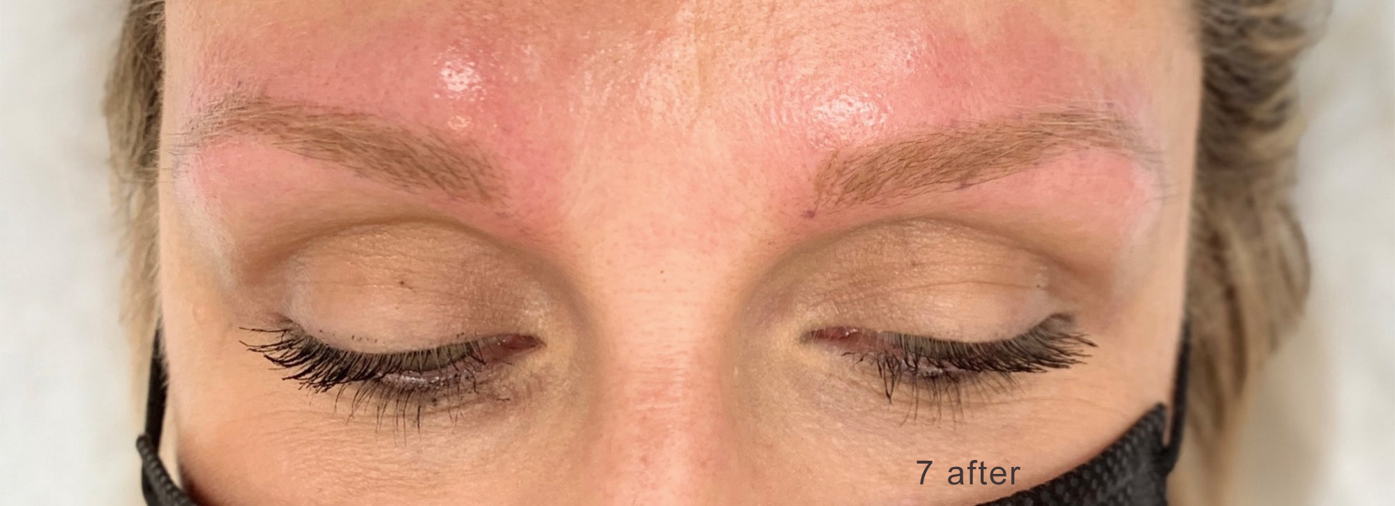 Image of a client's brows after nanobrow work.